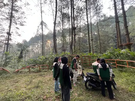 Anggota KKN berjalan bersama menyusuri jalur di hutan pinus